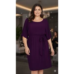 Purple Chico's Blouson Sz3 Dress Len 38"Unstretched Waist36"GUC Pullover